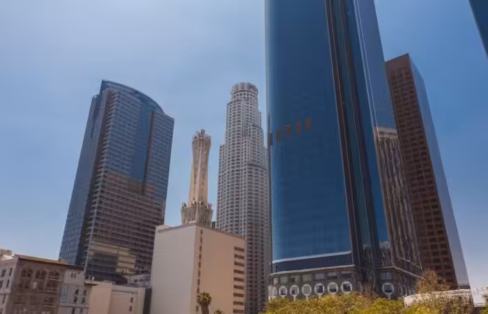 California business entity setup